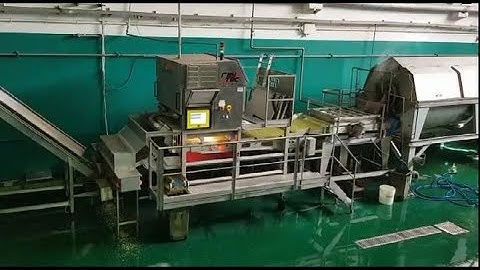 Spray optical sorting machine for legumes (green peas) | RAYTEC VISION SpA
