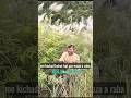 bhade raja ka jalwa 😂😂 #shorts #viral #facts #comedy #new #funny #bts #chinesshort #tiktoke #memes