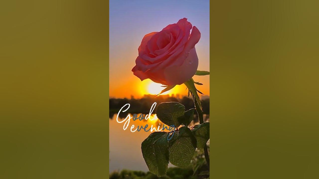 Good Evening