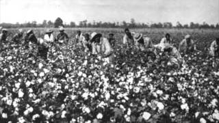 Slaves