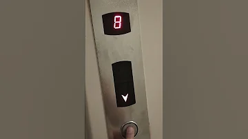 Afzugen Elevators Talking W Music 2026 