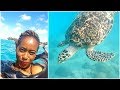 Catamaran Cruise &amp; Swimming With Turtles!