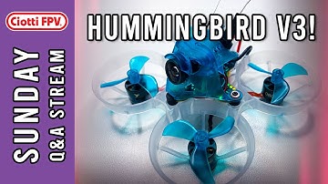 NBD Hummingbird F4 V3 Release at $89!!! - Q&A