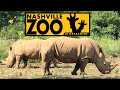 Nashville Zoo 2020 Tour & Review with The Legend