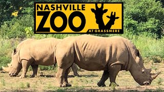 Nashville Zoo Tour & Review with The Legend