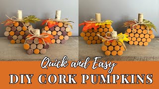 DIY Cork Pumpkin Craft Kit  Brodhead Memorial Public Library