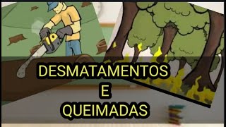Aula Sobre Desmatamento E Queimadas Para Crianças .