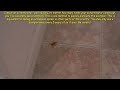 How to Kill Scorpions in Your Home