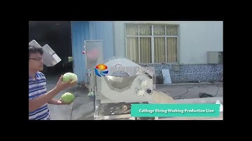 Automatic Cabbage Cube Cutting Washing Processing Line