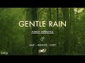 Gentle rain on forest ground  no ads  soft rain sounds for sleeping