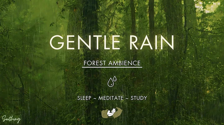 Gentle Rain On Forest Ground | NO MIDROLL ADS | Soft Rain Sounds For Sleeping