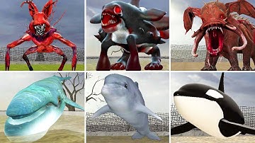 ZOOCHOSIS ALL NEW RELEASE CANDIDATTE ANIMALS MONSTERS ANIMALS In Garry