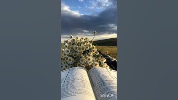قراءة عطرة للقارئ أ. صبحي بهار(ابو يحيى) من سورة آل عمران