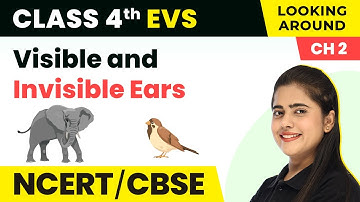 Visible and Invisible Ears - Ear to Ear | Class 4 EVS