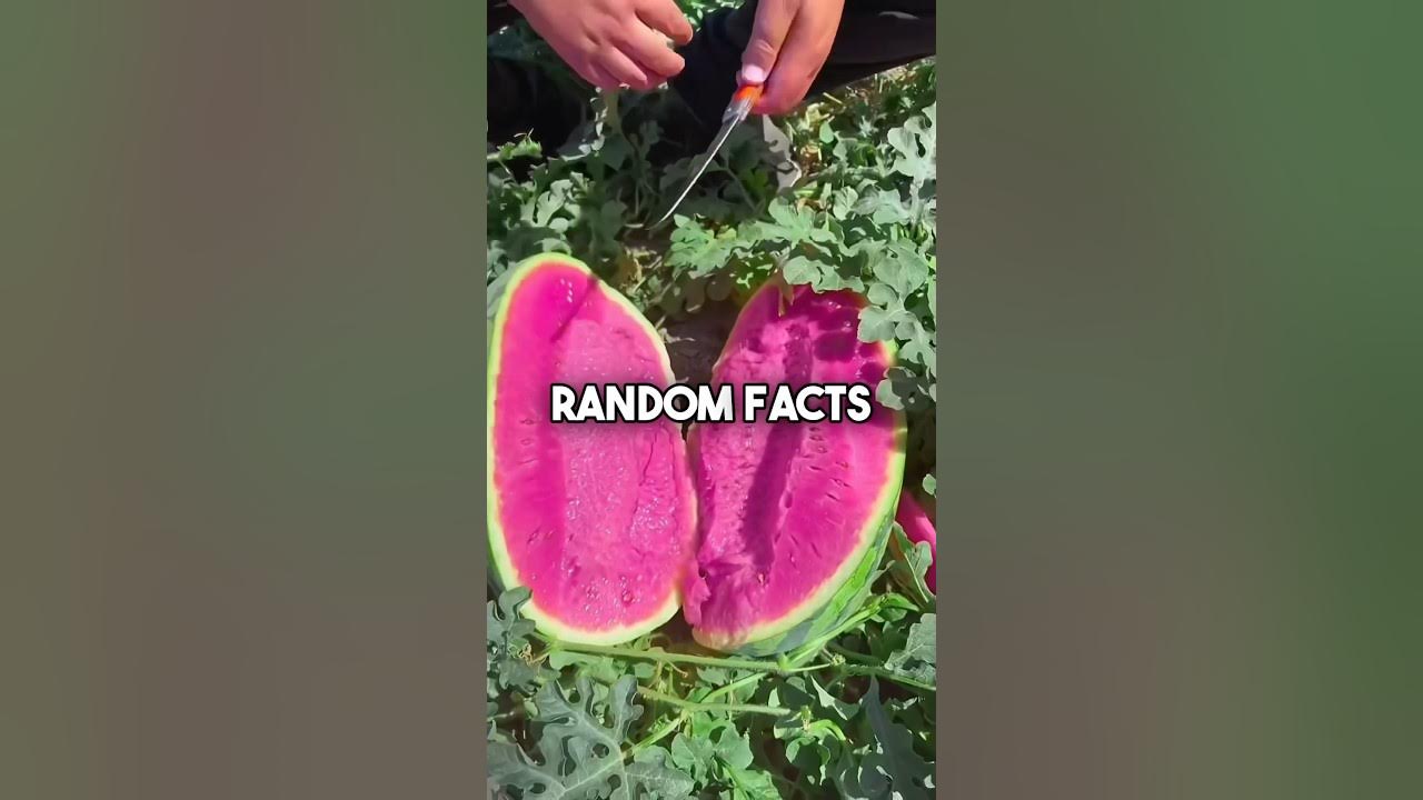 Crazy Random Facts That Sound Made Up But Are True randomfacts crazy-random-facts-that-sound-made-up-but-are-true-randomfacts