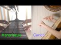 カノン・さくら・ハナミズキpiano &amp; harp medley