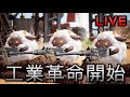 [Palwolrd][2/2直播][粤/國語] 我是一隻在yt直播的帕魯OMO (歡迎加入dc群 link在說明欄)