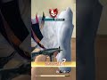 1vs 4