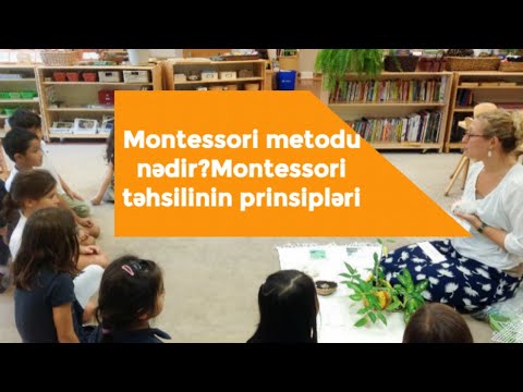 Video: Montessori uşaqların inkişafı ilə bağlı nəyə inanırdı?