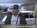 Николаевские голуби Голубинный птичий рынок гШахты 28.03.21 Bird Market Shakhty NIKOLAEVSKIE PIGEONS