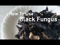 Taiwan organic black fungus