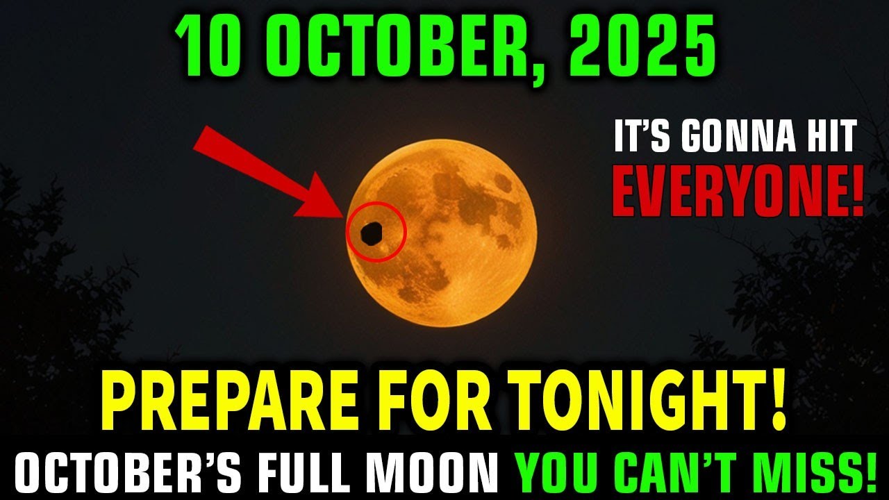 This MUST Reach You BEFORE Tomorrow! Full MOON Events on October 10, 2025 – You Don’t Want to Miss!
