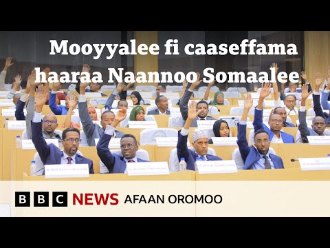 Caaseffamni Naannoo Somaalee Haaraan Maaliif Mormii Kaase BBC News Afaan Oromoo