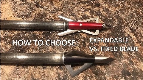 Expandable vs. Fixed Blade Broadhead - How To Choose What To Shoot