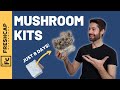 Grow mushrooms in just 8 days mushroom growing kit review anyone can do this at home