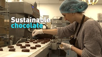 Making sustainable chocolate