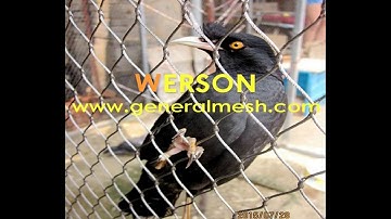 X-tend Ferrule Aviary Mesh Webnets,Stainless Steel Bird Netting Mesh