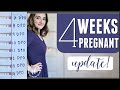 4 WEEKS PREGNANT | Pregnancy Test Line Progression (7-14 DPO)