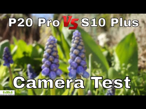 Huawei P20 Pro vs Samsung Galaxy S10 Plus Camera Photo Test