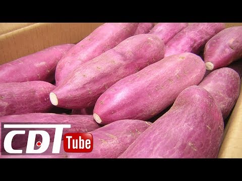 Vidéo: Que Sont Les Patates Douces
