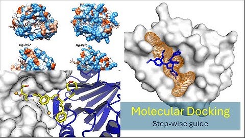 Molecular Docking Explained | Step-by-Step Guide for Beginners & Researchers