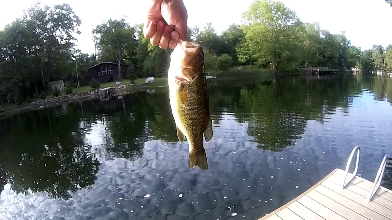 Fishing Shadow Lake, Head Lake, and Gull River - July 23-24, 2016 