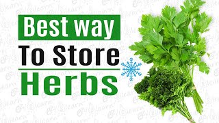 How to store herbs in freezer | Store and Freeze Fresh Parsley, Coriander, Fresh Herbs the right way
