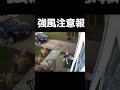 強風の怖さがよく分かる映像 #short #shorts