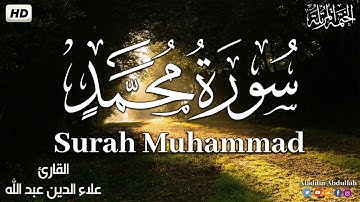 Surah Muhammad  سورة محمد كاملة ||  بصوت هادئ وجميل 😴💚||القارئ علاء الدين عبد الله