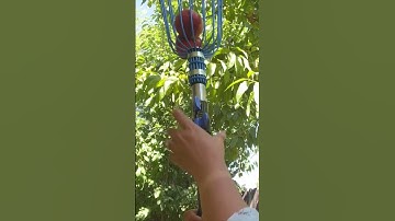 This fruit picker is super helpful! #shorts #shortvideo #fruitpicker