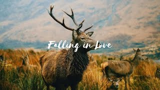Falling in Love - Us the Duo (Lyrics)