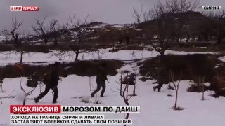 Сирия Боевики сдаются в плен, чтобы не погибнуть от холода!!! Сирия Боевики сдаются в плен, чтобы не погибнуть от холода!!!