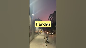 Tools every data scientist use #datascience #data #python #shorts #shortvideo