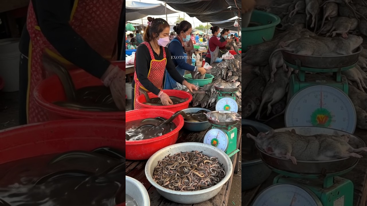 Traditional Asian Markets: Sources of Local Food and Protein-Rich Treats.@muhibbazaar-ai