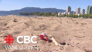 Fewer plastic straws being found in Canadian waters, environmentalists say by CBC Vancouver 1,574 views 4 days ago 1 minute, 57 seconds