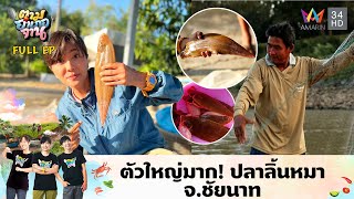 ตัวใหญ่มาก! ปลาลิ้นหมา จ.ชัยนาท | ตามอำเภอจาน |  2 เม.ย.67 Full EP