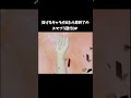 抜けるキャラが出たら即終了のスマッシュブラザーズ歴代OPメドレー #Shorts