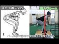 【初心者】正しいデッドリフト講座【筋トレ】