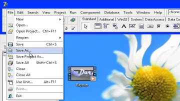 Como crear un Navegador en Delphi