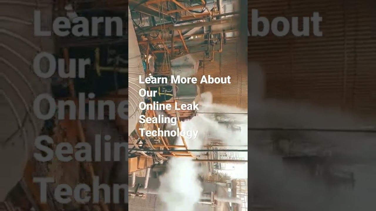 Steam Leakage from Flange Oriface Joint